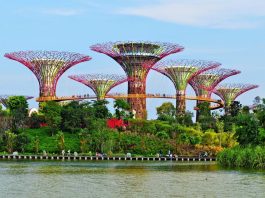 Du lich Singapore