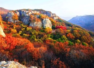 Du lịch vườn quốc gia Seoraksan Hàn Quốc có gì chơi? Du lịch vườn quốc gia Seoraksan Hàn Quốc có gì chơi?